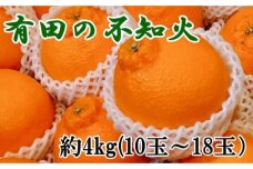 【濃厚】有田の不知火約4kg（10～18玉）★2024年2月上旬頃より順次発送【TM29】