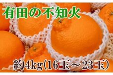 【濃厚】有田の不知火約4kg（13～24玉）★2024年2月上旬頃より順次発送【TM32】