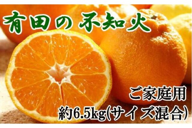 希少な柑橘!紀州有田産ブラッドオレンジ約3kg 