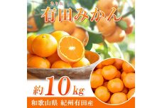 完熟有田みかん　10kg【2025年11月下旬以降発送】【先行予約】【UT11】