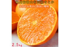 紀州有田産せとか約2.5kg　とろける食感！ジューシー柑橘【2025年2月上旬以降発送】【先行予約】