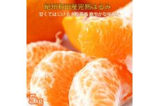 果肉ぷりぷり!完熟はるみ　５ｋｇ【2026年2月中旬頃～2026年2月下旬頃に順次発送】【UT22】