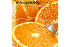 とにかくジューシー清見オレンジ　5kg【2025年3月下旬以降発送】【先行予約】【UT53】