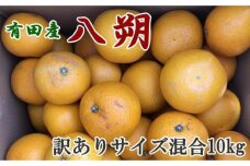 ［手選果・訳あり］有田産の八朔10kg（サイズ混合）★2026年1月下旬頃より順次発送［TM114］