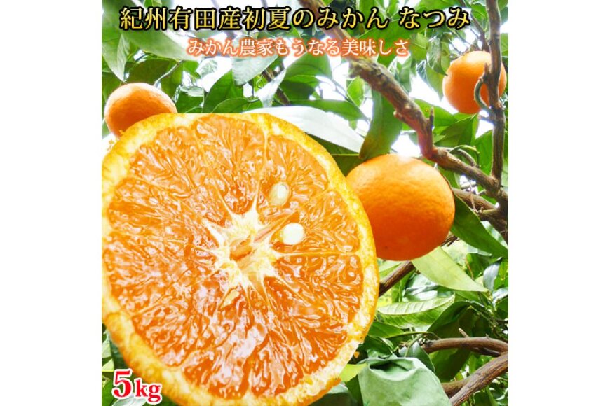 ふるさと納税 先行予約 初夏のみかん なつみ 約5kg 23年4月中旬より発送 和歌山県由良町 ふるさと納税の ふるさとぷらす
