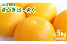 紀州由良町産 さつきはっさく  約5kg(Lまたは2Lサイズ）