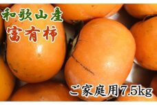 和歌山産富有柿ご家庭用約7.5kg★2025年11月上旬頃より順次発送【TM6】