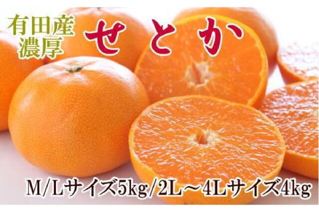 ふるさと納税 「一度は食べていただきたい「有田産のせとか」約4～5kg（サイズおまかせ）☆2023年2月下旬～発送」 和歌山県由良町 - ふるさと納税 の「ふるさとぷらす」