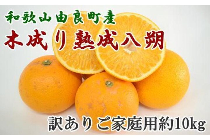 最大71%OFFクーポン 厳選 有田産清見オレンジ約10kg サイズおまかせ 秀品 2023年2月中旬頃〜3月下旬頃より順次発送 fucoa.cl