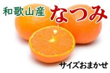 【希少柑橘】和歌山産なつみ約5kg（S～2Lサイズおまかせ）★2024年4月～順次発送