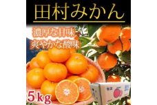 【魚鶴商店厳選】人気の柑橘定期便（有田みかん・不知火・清見オレンジ【定期便全3回】【UT116】