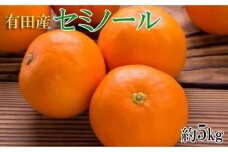 和歌山有田産セミノールオレンジ約5kg(サイズおまかせ　秀品) ★2024年4月中頃より順次発送