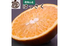 ＜1月より発送＞厳選 はっさく5.5kg+165g（傷み補償分）【八朔みかん・ハッサク】