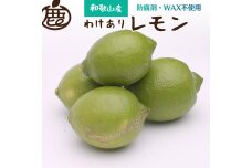 ＜先行予約＞家庭用　黒潮レモン4.5kg+135g（傷み補償分）