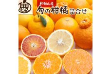 ＜1月より発送＞厳選旬の柑橘詰合せ5kg+150g（傷み補償分）【有田の春みかん詰め合わせ】