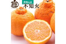 ＜先行予約＞厳選 不知火5kg+150g（傷み補償分）