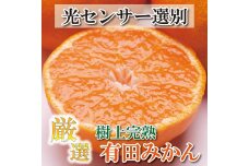 ＜11月より発送＞厳選 完熟有田みかん4kg+120g（傷み補償分）