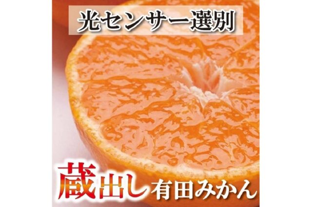 お求めやすく価格改定 訳あり有田はっさくLまたはMサイズ※2023年1月中旬〜2月上旬頃に順次発送予定 フルーツ・果物