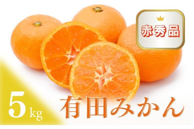 ふるさと納税 「【ふるさと納税】和歌山県紀州 完熟みかん ミカン 蜜柑 プレミアム 赤秀品ランク 5kg(約30個)」 和歌山県由良町 ふるさと納税 の「ふるさとぷらす」