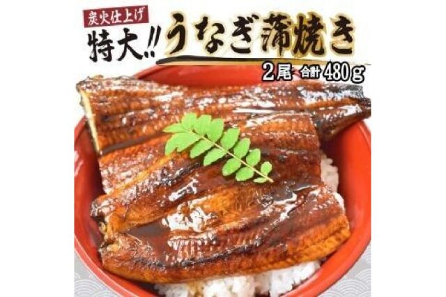 ふるさと納税 「うなぎ蒲焼き2尾入り 480g（蒲焼たれ4袋 山椒付き）」 和歌山県由良町 - ふるさと納税の「ふるさとぷらす」