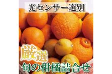 厳選 柑橘詰合せ5kg+150g（傷み補償分）【IKE85】