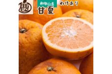 ＜4月より発送＞家庭用甘夏柑11.5kg+345g（傷み補償分）【わけあり・訳あり】