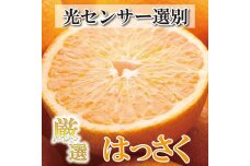 ＜4月より発送＞厳選樹上完熟はっさく7.5kg+225g（傷み補償分）【有田の春みかん・はっさく】