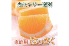 ＜4月より発送＞家庭用樹上完熟はっさく8.5kg+255g（傷み補償分）【訳あり・わけあり】