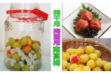 【梅干・梅酒用】（3L－2Kg）熟南高梅＜2024年6月中旬～7月7日発送予定＞