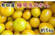 有田産極早生みかん約5kg（サイズ混合）★2025年10月中旬頃より順次発送［TM200w］