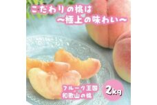 フルーツ王国　和歌山の桃　約２kg（fr-06）【先行予約 2024年6月中旬～7月下旬発送】