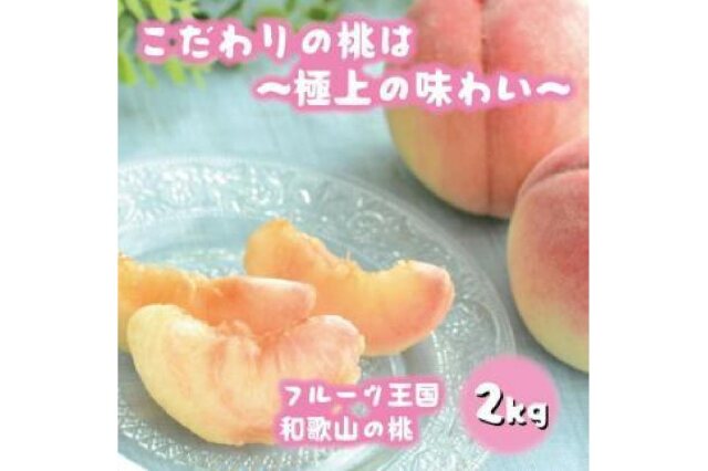 ふるさと納税 「フルーツ王国 和歌山の桃 約２kg（fr-06）【先行予約