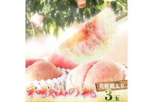 秀品　紀州和歌山産の桃　３玉　化粧箱入