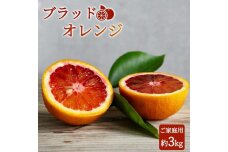 希少な柑橘!紀州有田産ブラッドオレンジ約3kg 【ご家庭用】【先行予約】【UT55】