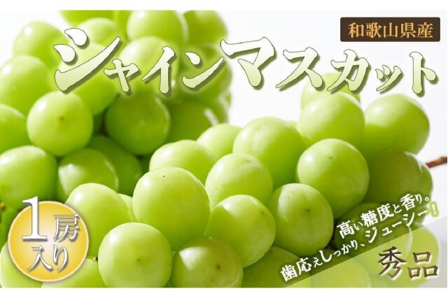 2024出品事前告知】シャインマスカット