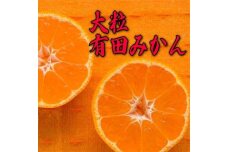 【先行予約】迫力満点！大粒有田みかん7.5kg【2024年11月中旬より発送】【果汁たっぷり】