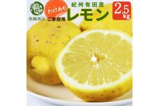 【ご家庭用訳あり】 紀州有田産レモン 2.5kg【2025年3月上旬以降発送】【先行予約】