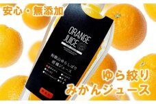 無添加 ストレート果汁！ みかんジュース 1L×1本