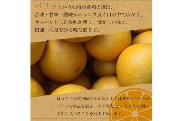 ふるさと納税 「八朔（はっさく）約10kg 紀州和歌山 かつらぎ産【2025年2月上旬頃～2025年2月下旬頃に順次」 和歌山県由良町 ふるさと 納税の「ふるさとぷらす」