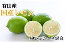 有田産の安心国産レモン約3kg （サイズ混合）★2024年10月下旬頃より順次発送【TM61】