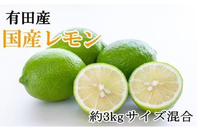 ふるさと納税 「有田産の安心国産レモン約3kg （サイズ混合）【～2024