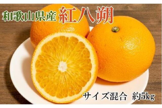 ふるさと納税 「【希少品】和歌山県産紅八朔約5kg（サイズ混合）☆2025