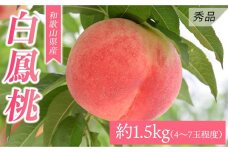 和歌山県産 白鳳 《秀品》 約1.5kg(4～7玉程度）【7月上旬より発送】 【MG30】