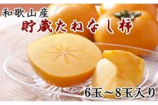 和歌山産貯蔵たねなし柿化粧箱入り（6玉～8玉入り）★2024年12月中旬頃より順次発送【TM124】