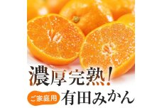 ご家庭用 濃厚完熟 有田みかん 約10kg【先行予約 2024年11月発送予定 】【MS6-1】