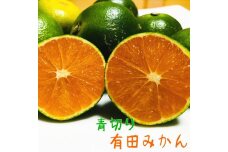 有田育ちのご家庭用青切り有田みかん 約10kg 【先行予約 2024年9月～10月発送】【MS19】