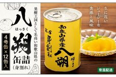 和歌山県産八朔缶詰（身割れ）425ｇ×12缶セット【入金確定後より7営業日以内に発送予定】【KF7】