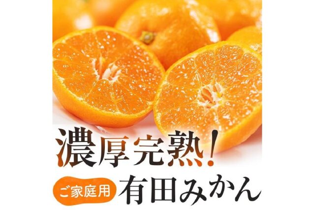 ふるさと納税 「ご家庭用 濃厚完熟有田 みかん 約5kg【先行予約 2025年1月発送予定 】 農家直送 訳あり」 和歌山県由良町 ふるさと納税の「 ふるさとぷらす」