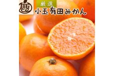 ＜11月より発送＞厳選 小玉な有田みかん5kg+150g（傷み補償分）【光センサー選果】