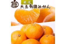 ＜11月より発送＞厳選 大きな有田みかん10kg+300g（傷み補償分）【光センサー選果】